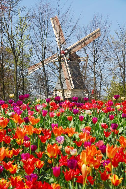 Vakantiepark Koningshof Rijnsburg Eksteriør billede